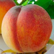 Саджанець Персик Вулкан